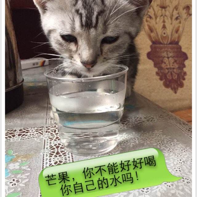 比利亚努埃瓦国际大学学历认证